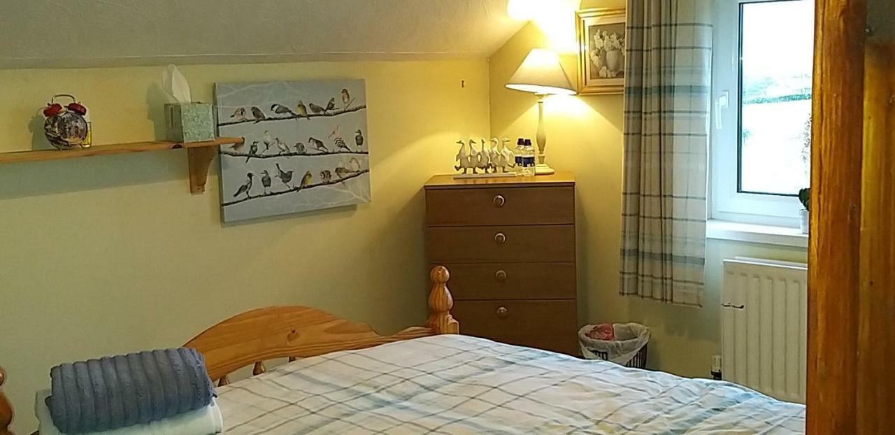 Antrim Heights Bnb Exteriér fotografie