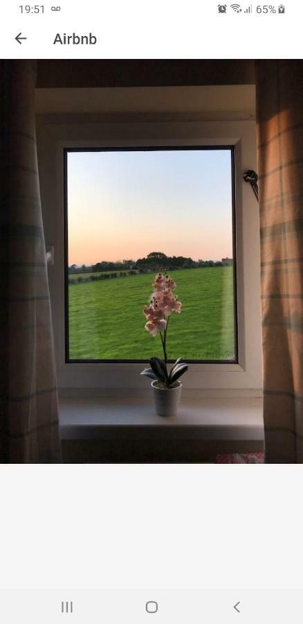 Antrim Heights Bnb Exteriér fotografie
