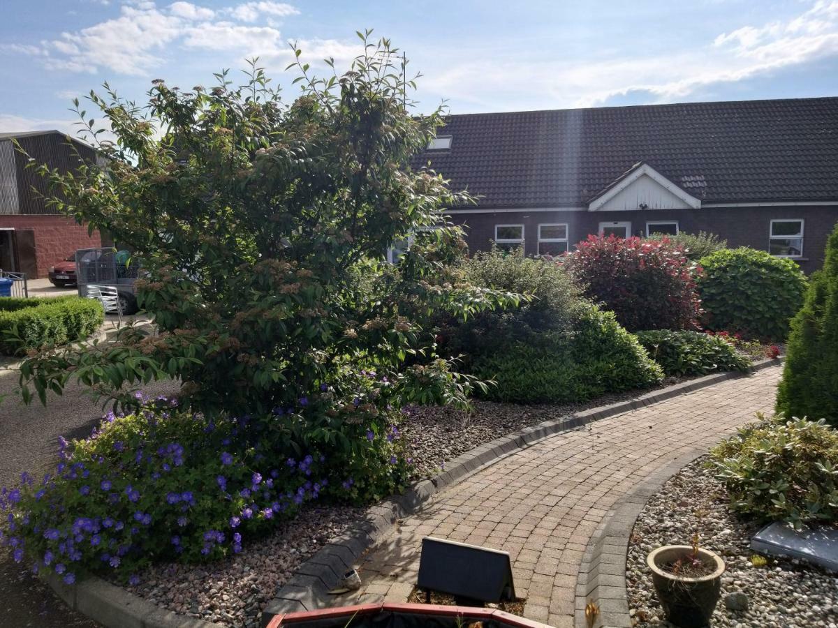 Antrim Heights Bnb Exteriér fotografie