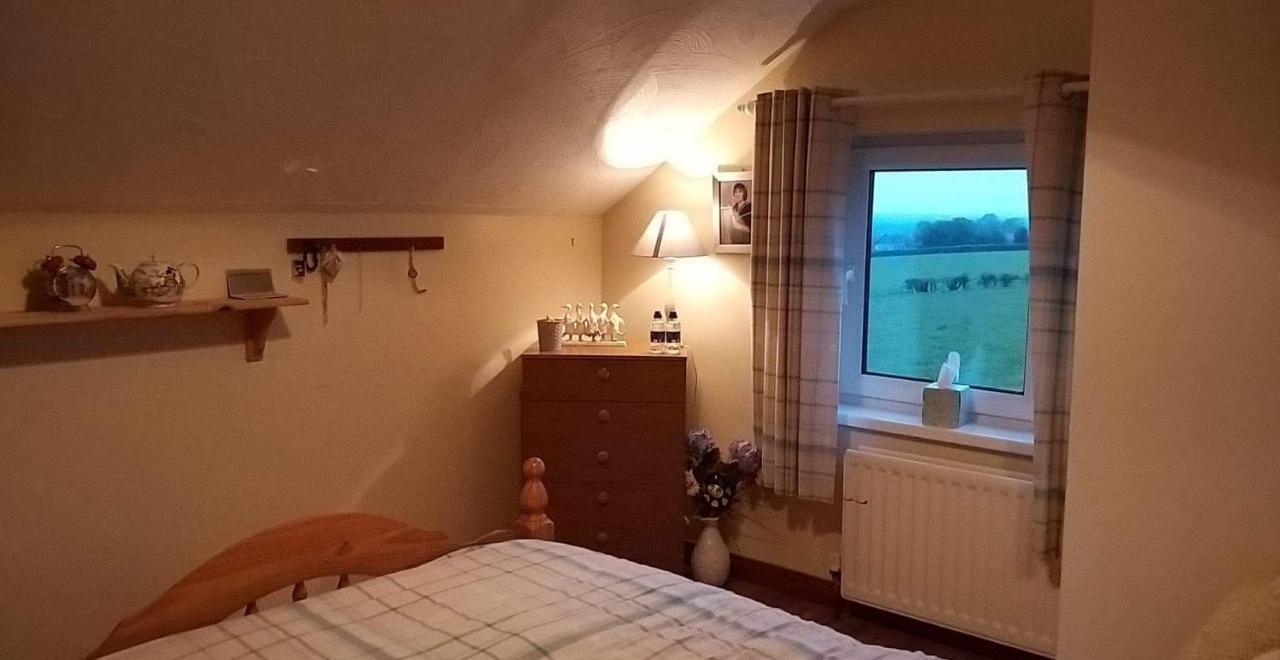 Antrim Heights Bnb Exteriér fotografie